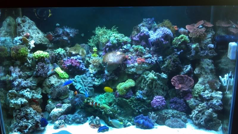 2012-05-12_11-33-02_539.jpg