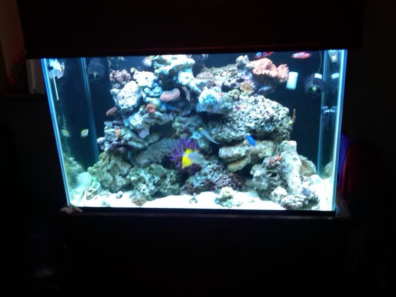 IMG-20120111-00042.jpg