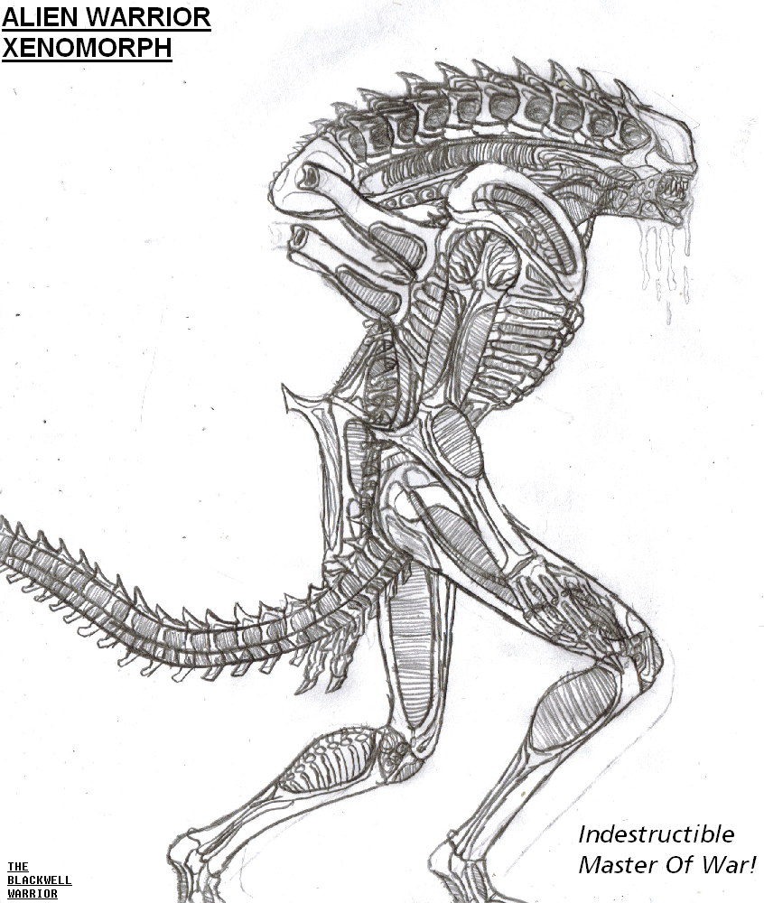 xenomorph drone coloring pages - photo #50