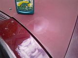 [Afbeelding: th_13052012073.jpg]