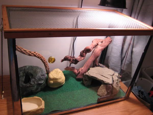 gecko_cage.jpg