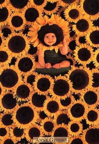 daisey.jpg Anne Geddes 2 picture by BlackCatShadow