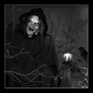 00K3MT-35109984.jpg witch image by audreyk1970
