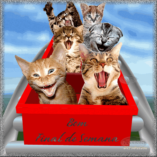 Animation5.gif picture by GatoGuloso
