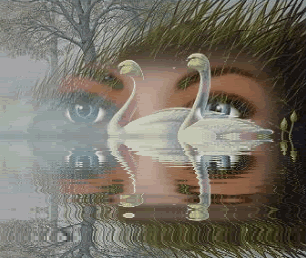 tr1.gif zwaan image by samsammy2006