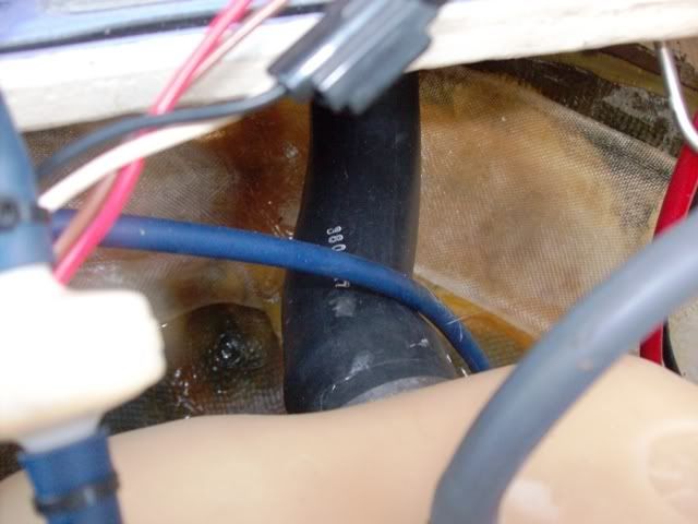 Picture014.jpg