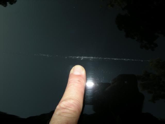 DSCN5041.jpg