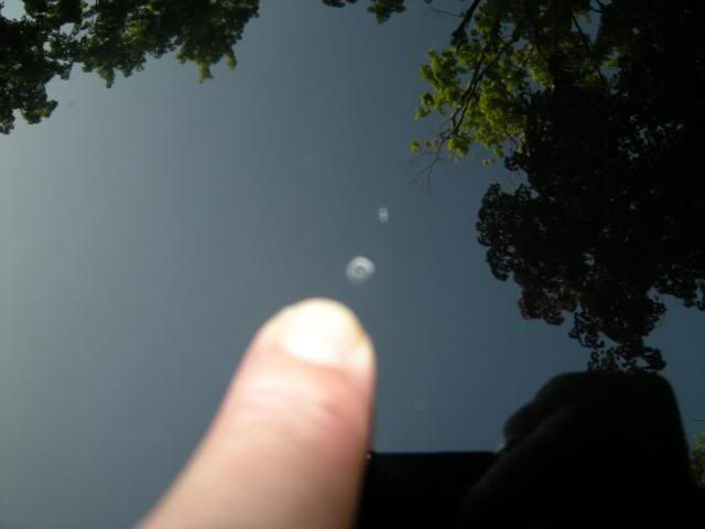 DSCN5042.jpg