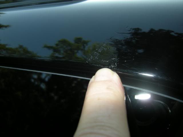 DSCN5046.jpg