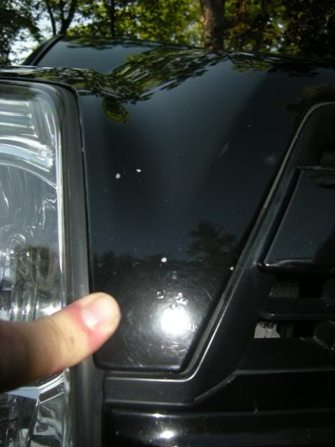 DSCN5061.jpg