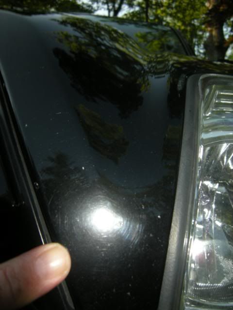 DSCN5062.jpg