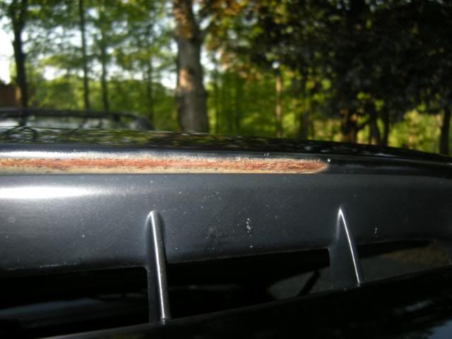 DSCN5066.jpg