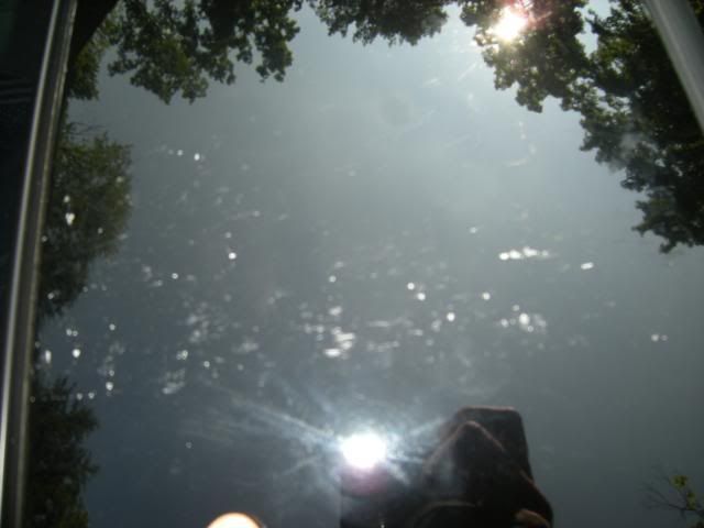 DSCN5074.jpg
