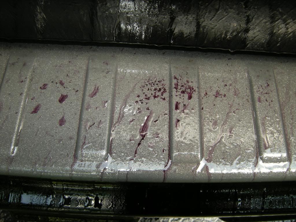 DSCN5078.jpg