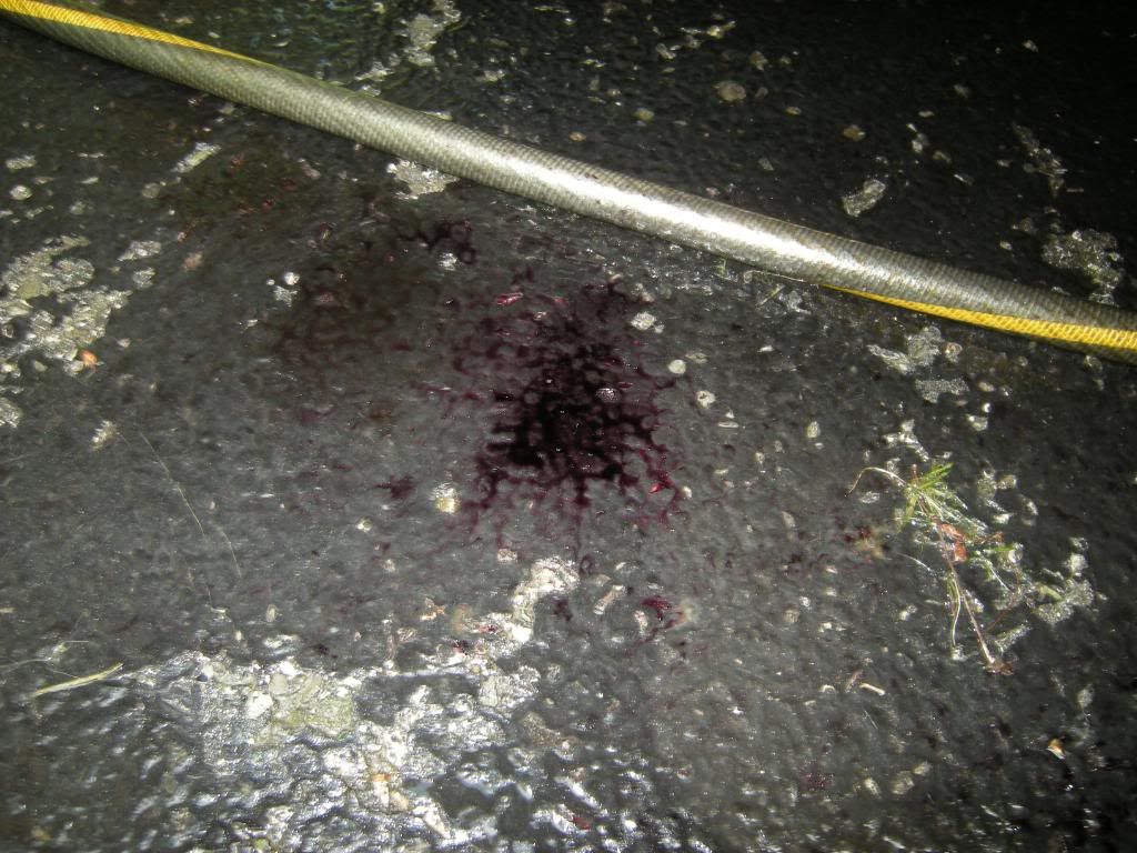 DSCN5079.jpg