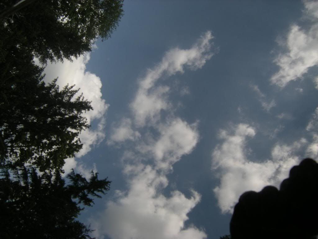 DSCN5083.jpg