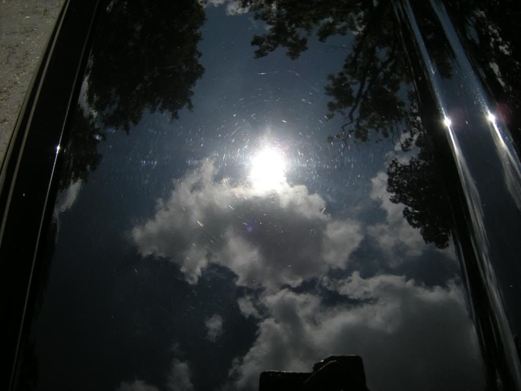 DSCN5084.jpg