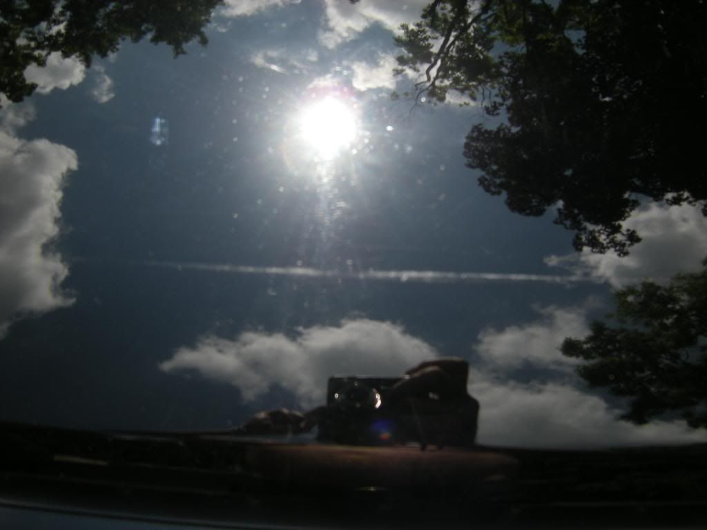 DSCN5085.jpg