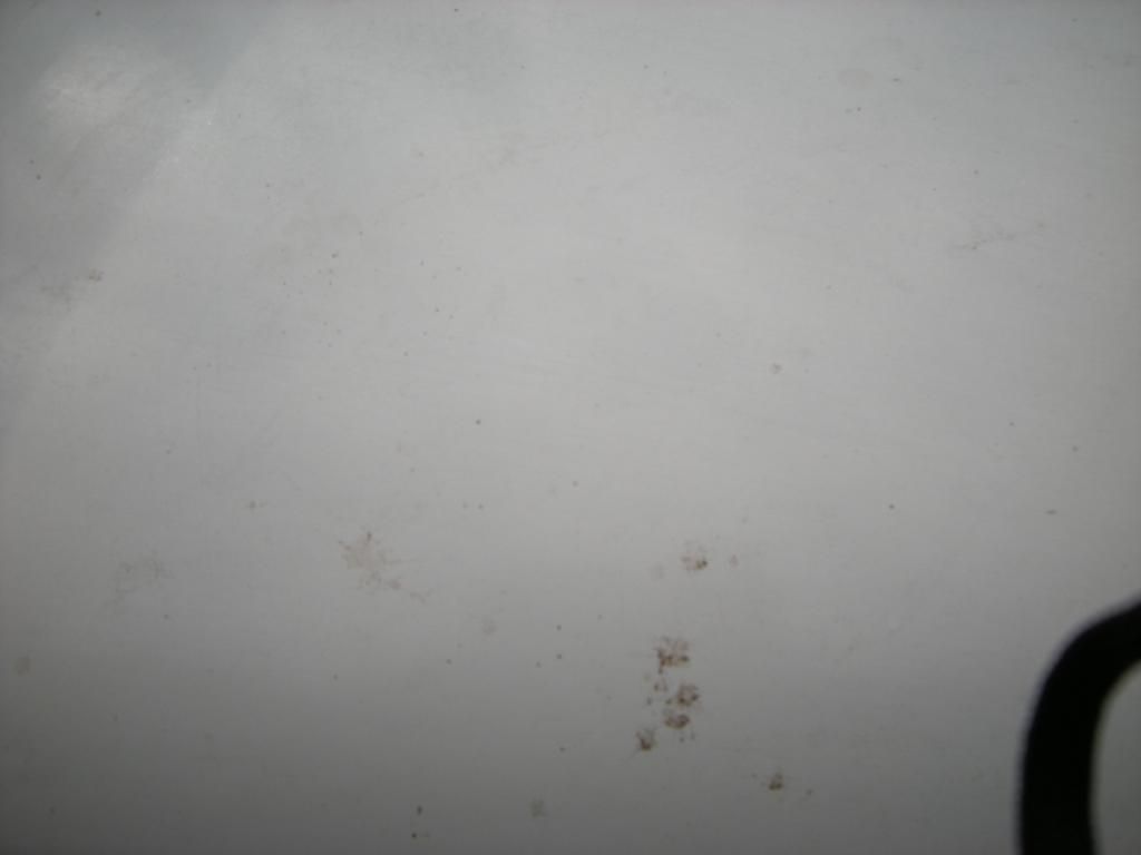 DSCN5164.jpg