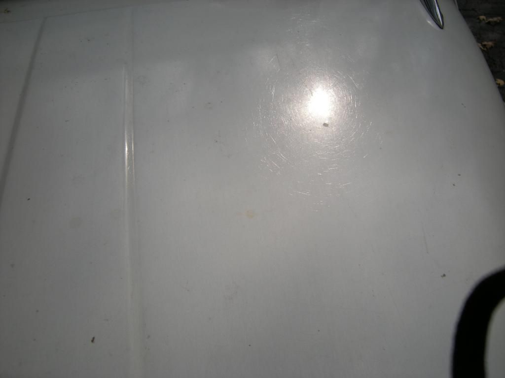 DSCN5165.jpg