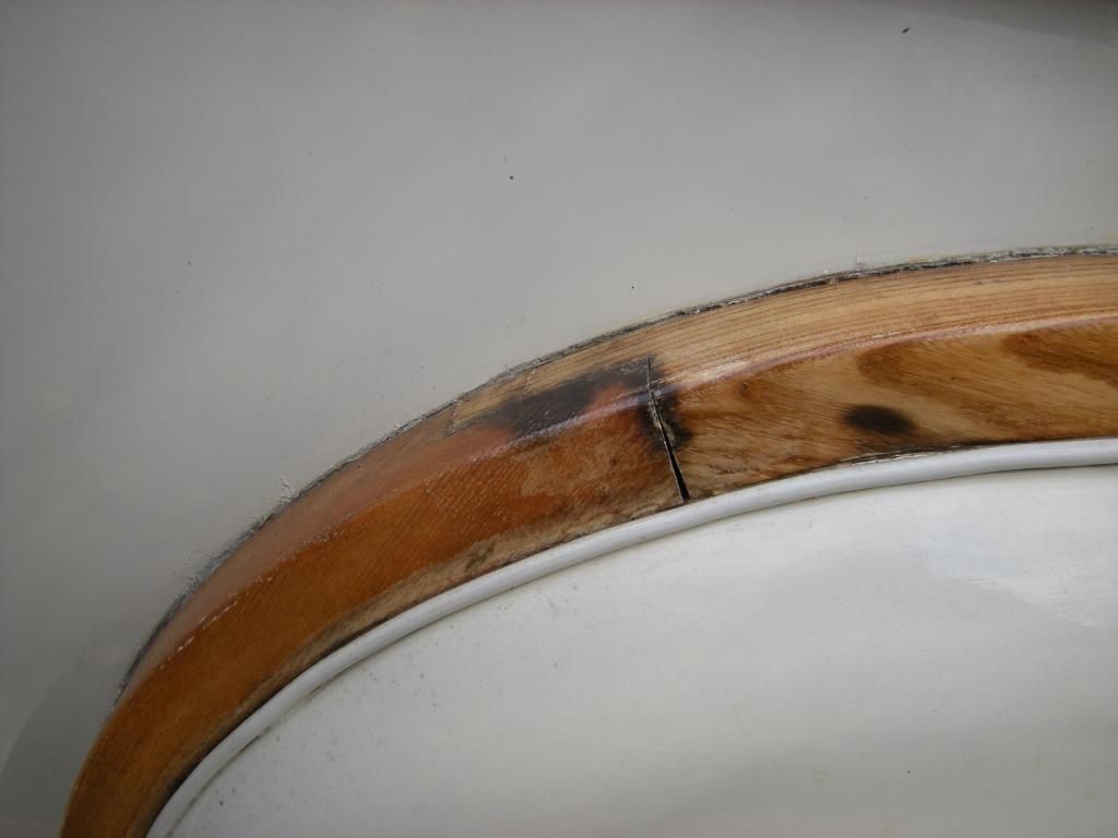 DSCN5167.jpg