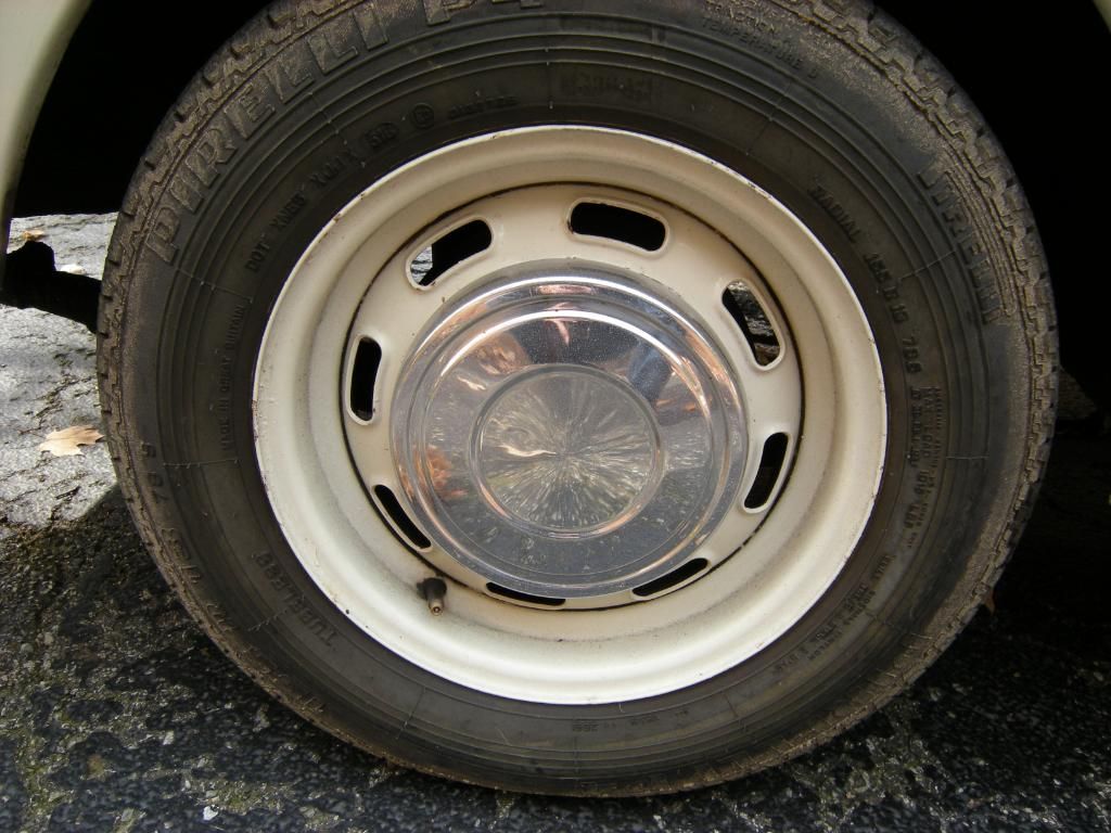DSCN5173.jpg