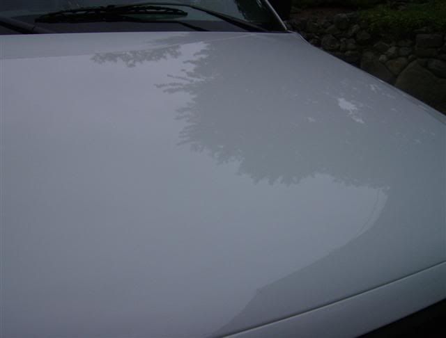 HPIM0858Small.jpg