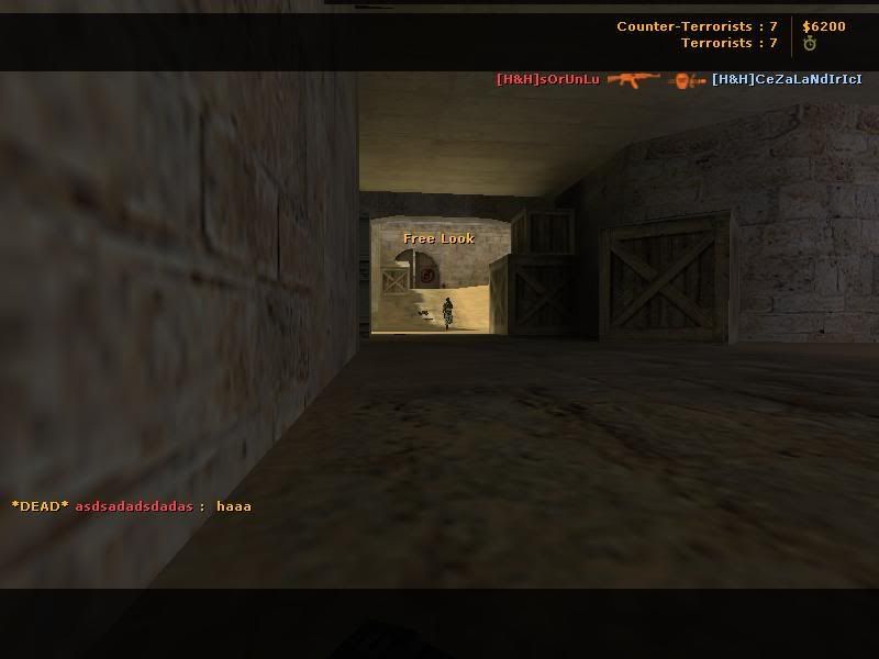 cs2.jpg