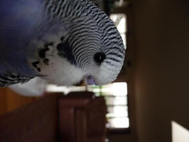 P1000820.jpg