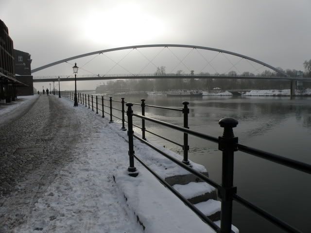 P1080184.jpg