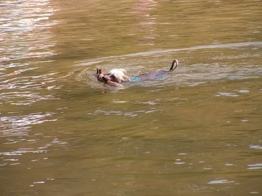 PICT0089.jpg