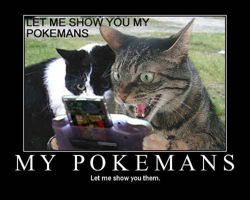 My_Pokemans.jpg
