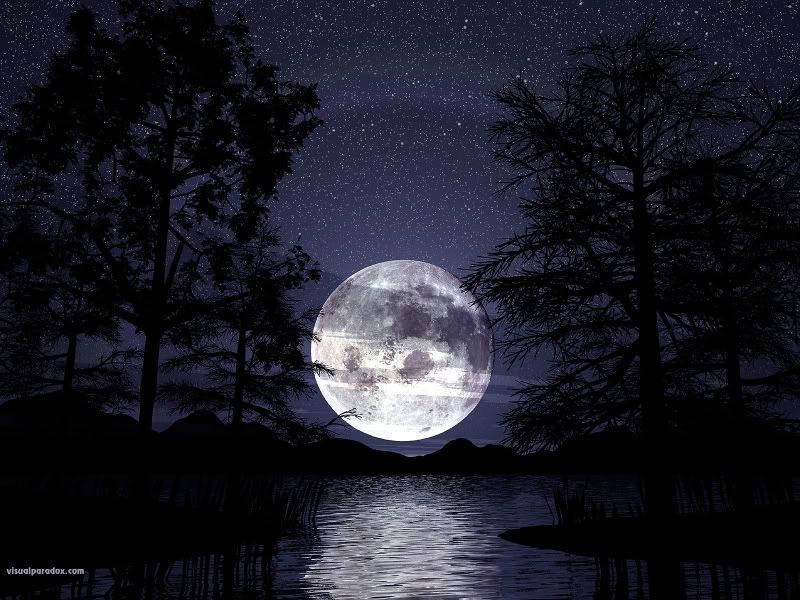 moonwithtrees.jpg Moon and Lake image by angelgirl3291