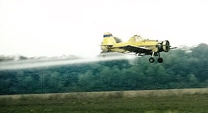 crop dusting planes Pictures, Images and Photos