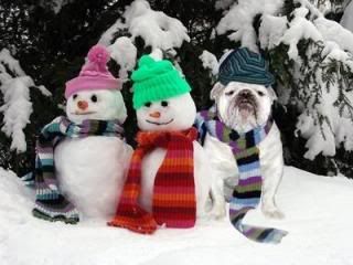 snowdog.jpg