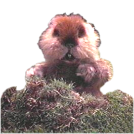Gopher