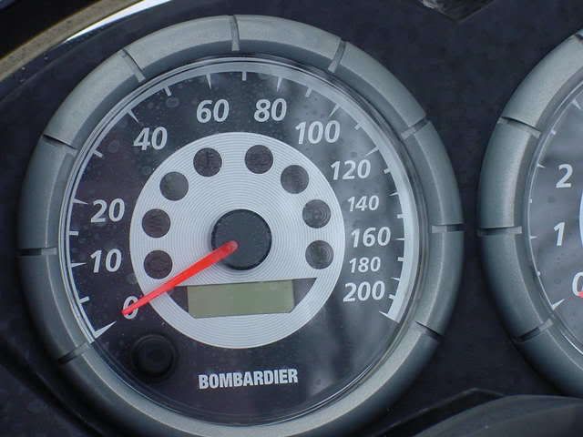 Speedo.jpg