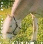 >-Fallen-Town---> The New Chap Avatar