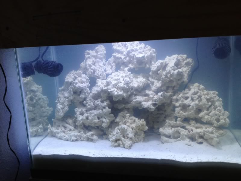 20G tall Nano Reef tank build (Sump and skimmerless) The Reef Tank