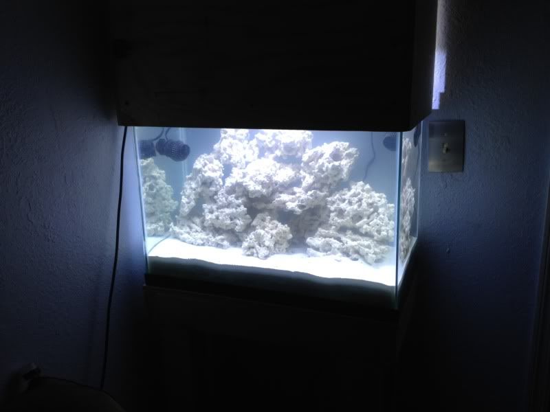 20G tall Nano Reef tank build (Sump and skimmerless) The Reef Tank