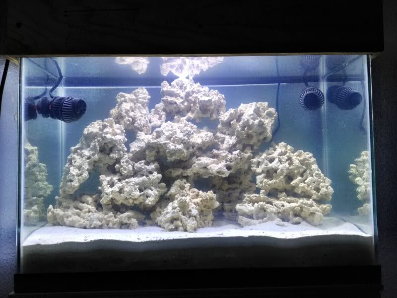 20G tall Nano Reef tank build (Sump and skimmerless) The Reef Tank