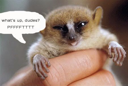 [img width=451 height=302]http://i124.photobucket.com/albums/p9/bittermelon125/lemur-1.jpg[/img]