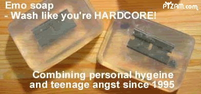 https://i124.photobucket.com/albums/p12/InuyashasChic/Truth/soap.gif