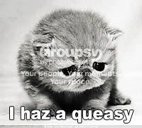 Queasy Kitty