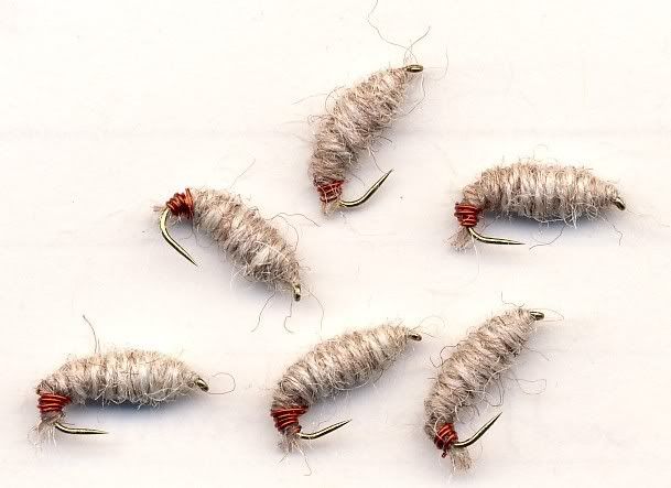 chadwick bait and tackle