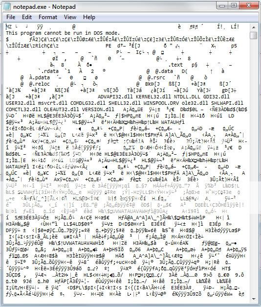 .exe to .txt what happens? Please tell me where to go.