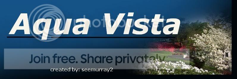 AquaVistaHeader.jpg