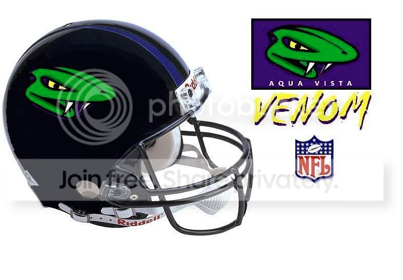 LARGEAVHELMET.jpg