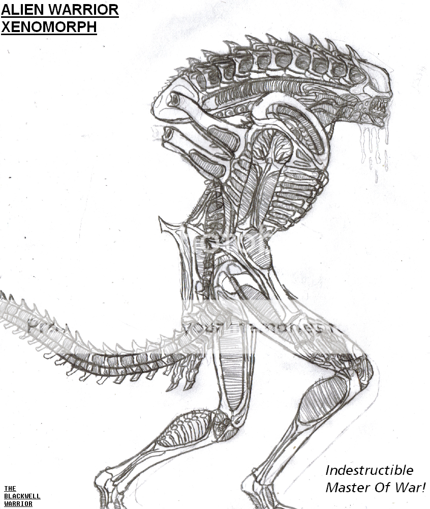 xenomorph drone coloring pages - photo #50