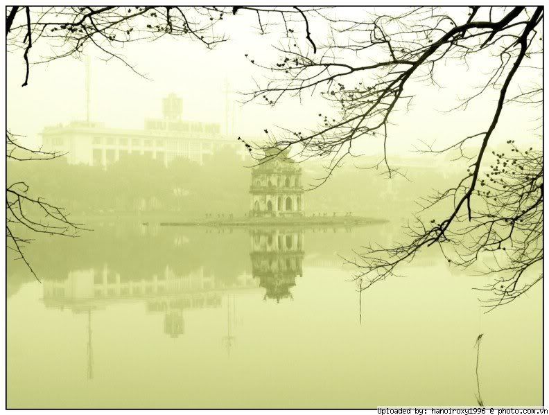 10179-hoguom_-8.jpg